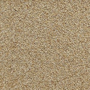 Organic Quinoa, White