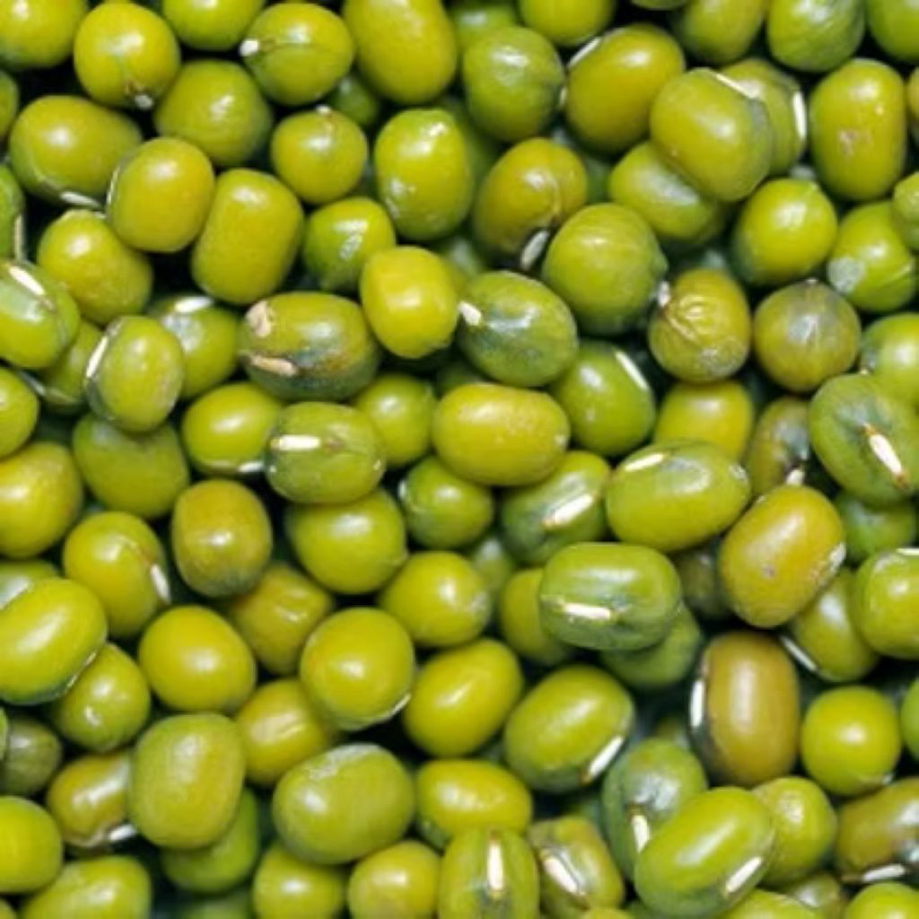 Organic Mung Beans