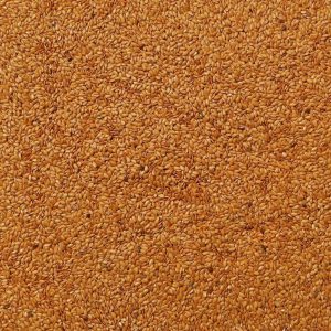 Organic Flax Seeds Golden