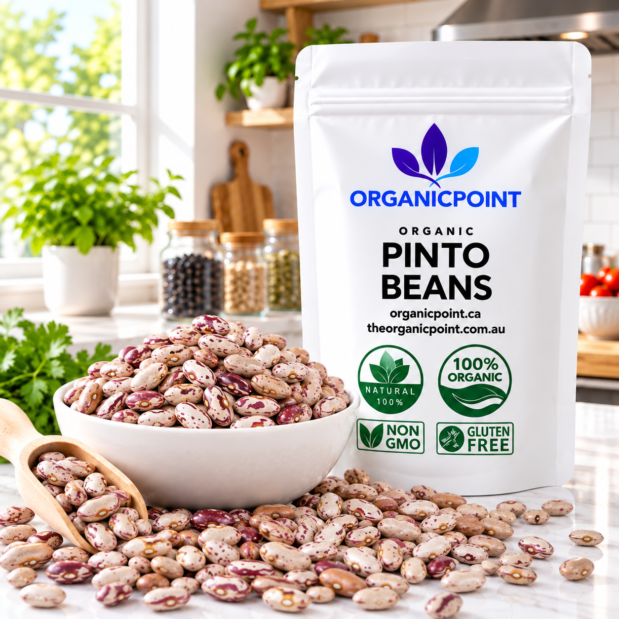 Organic Pinto Beans