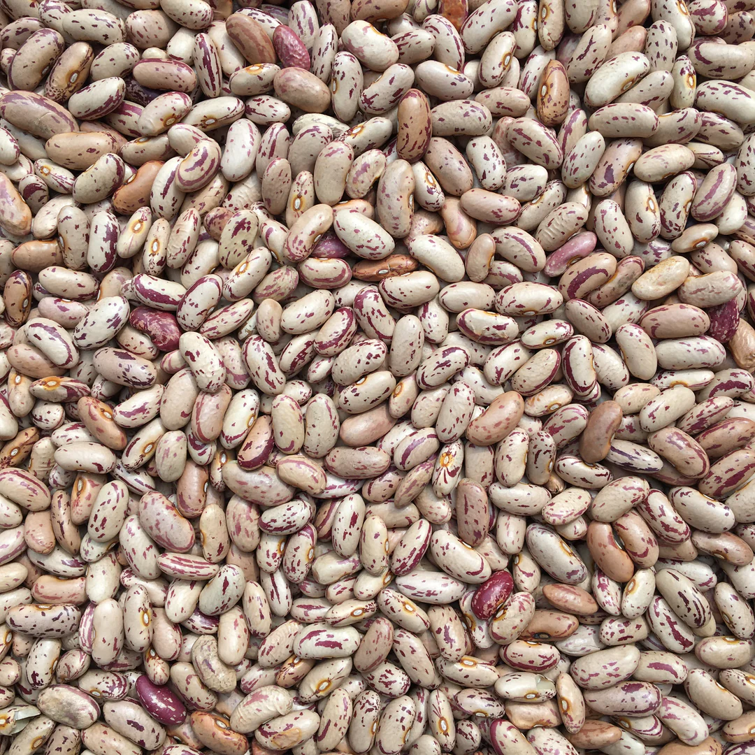 Organic Pinto Beans