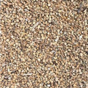 Organic Astragalus Root, c/s