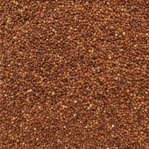 Organic Buckwheat, Roasted (Kasha)
