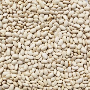 Organic Cannellini Beans