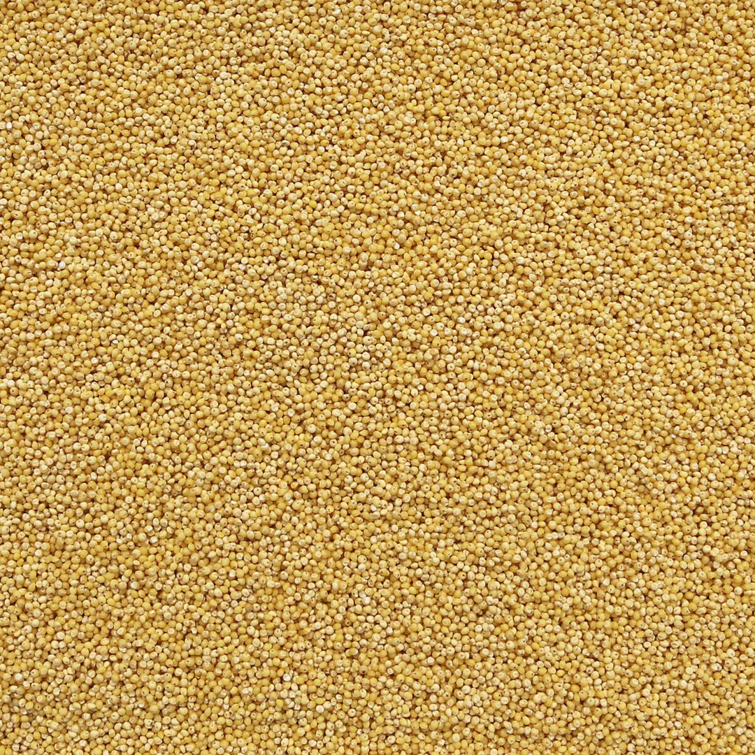 Organic Millet Hulled