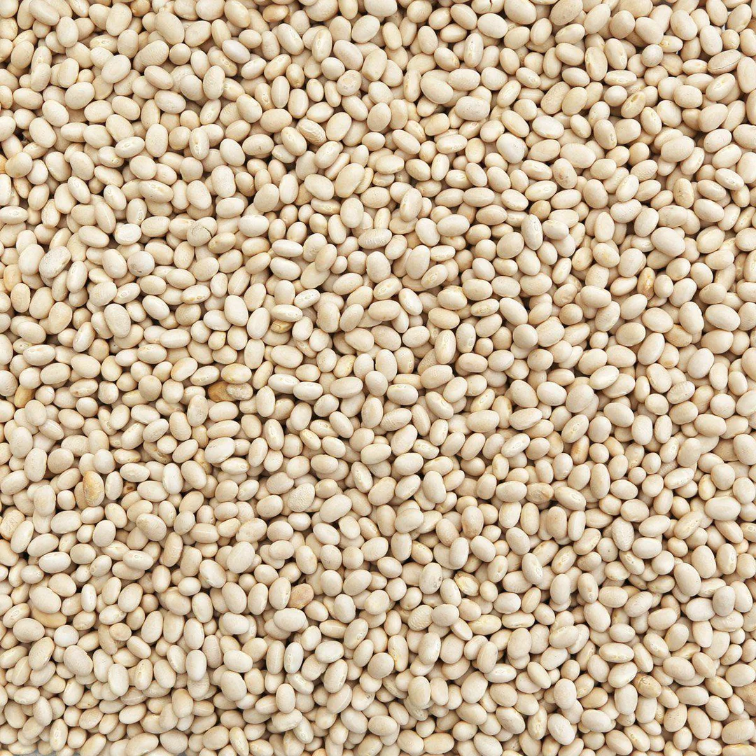 Organic Navy Beans