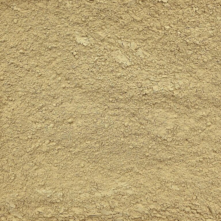 Lions Mane Mushroom Powder Organic