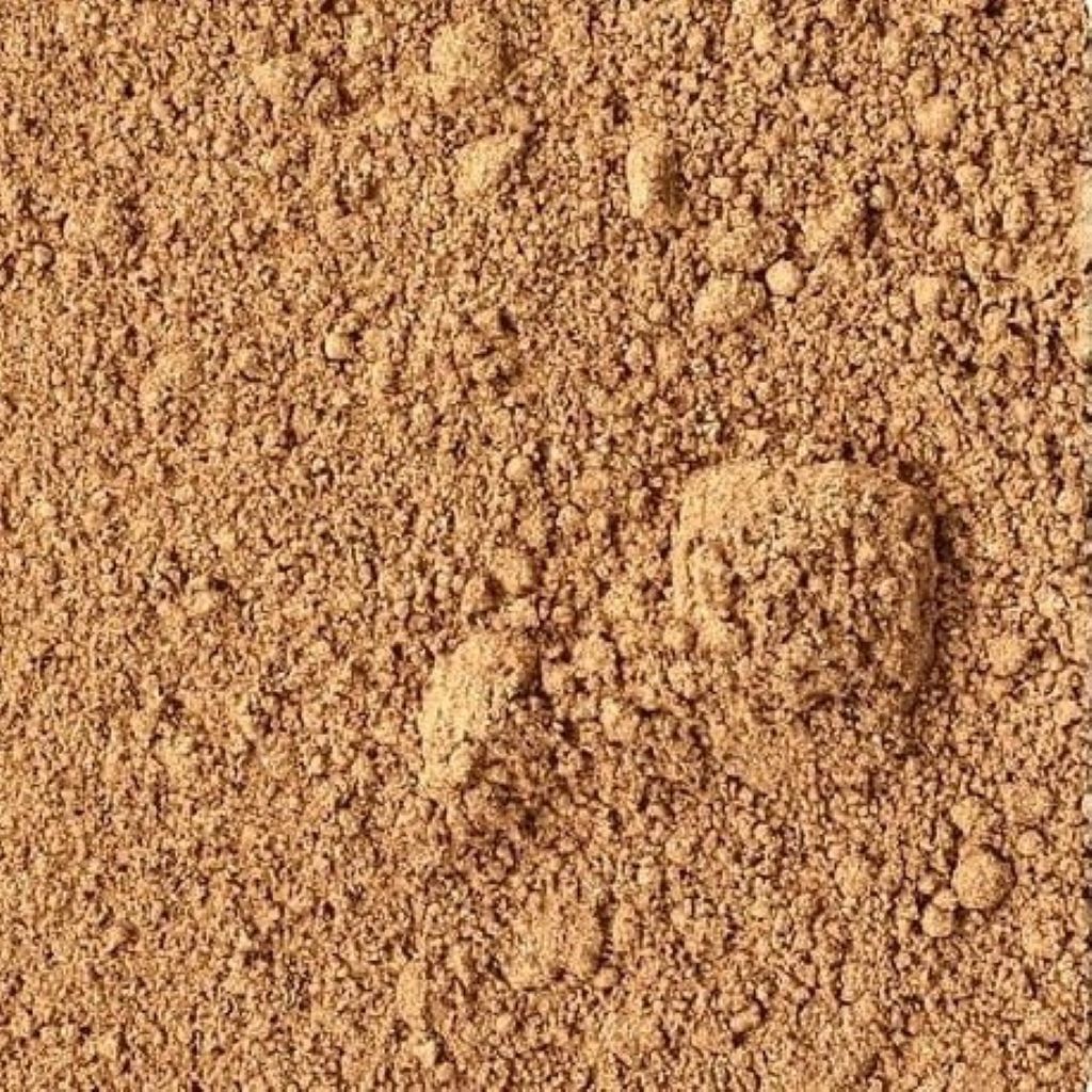 Reishi Mushroom Powder Organic