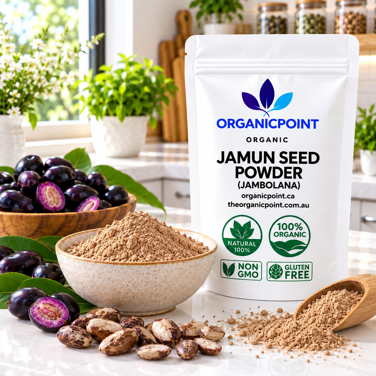 Jamun Seed (Jambolana) Powder