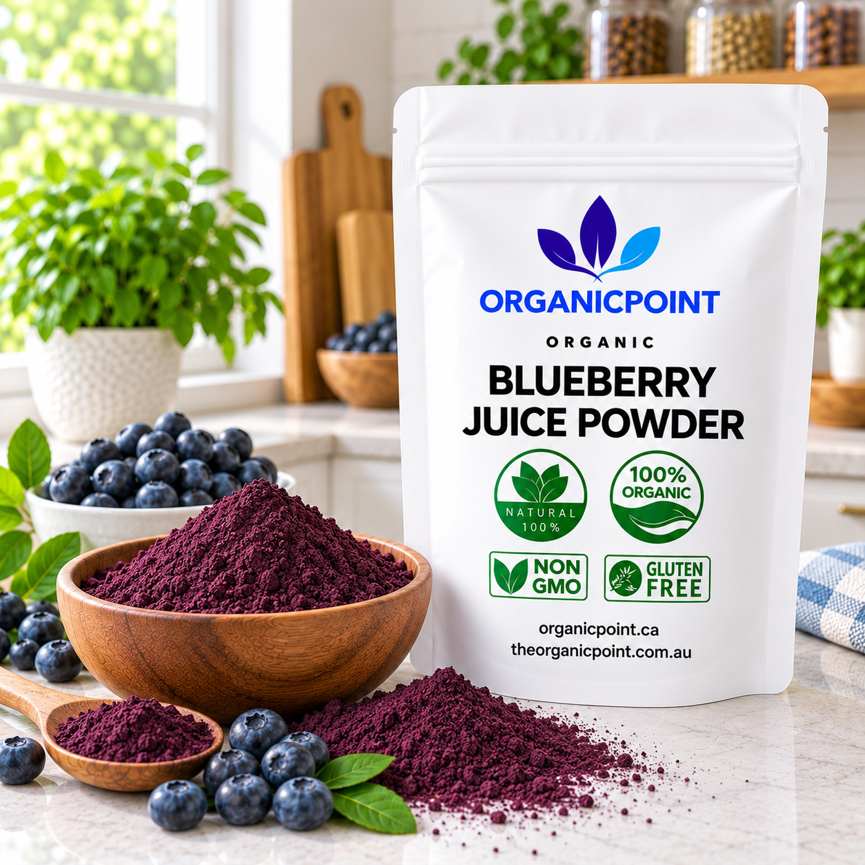 Blueberry Juice Powder Organic