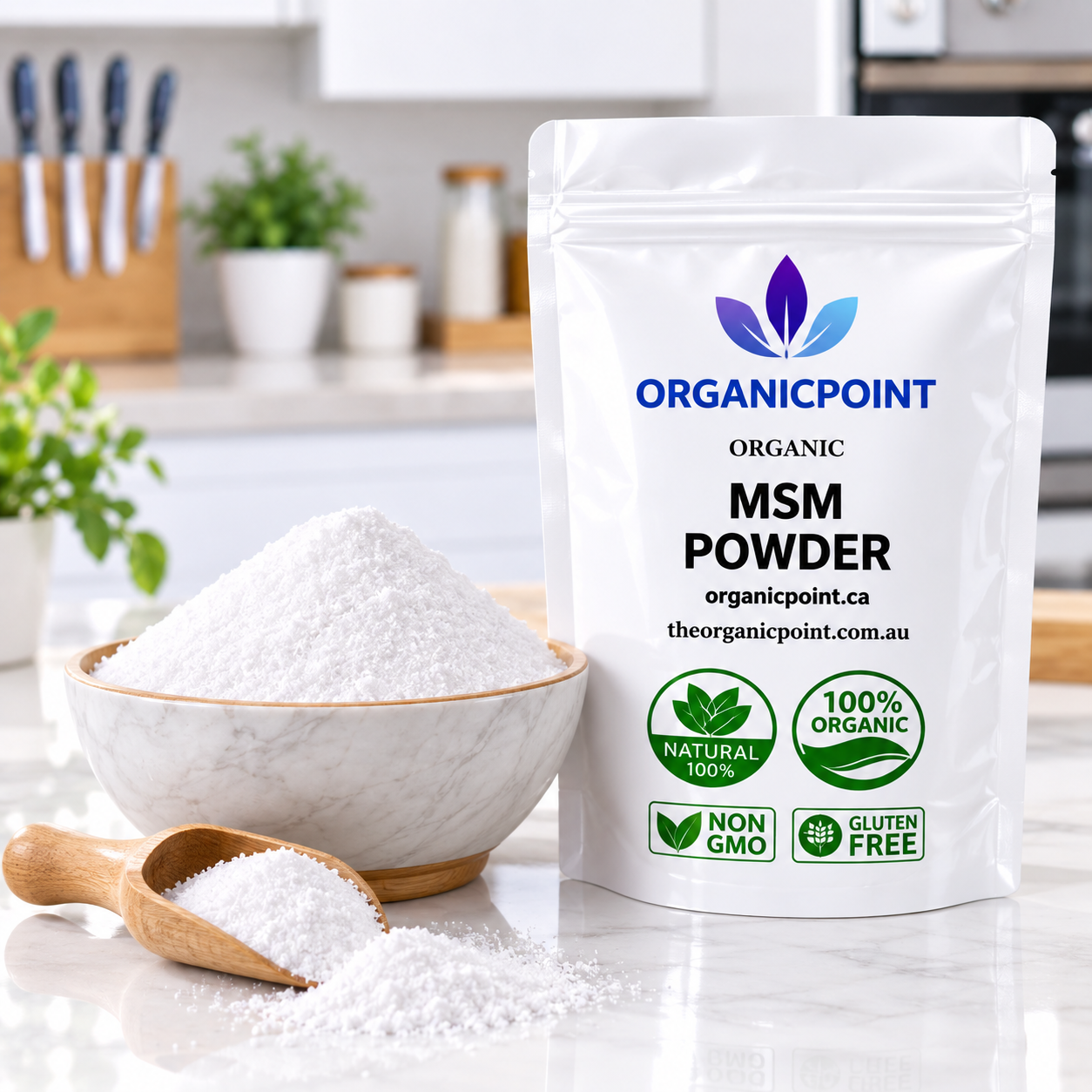 MSM Powder