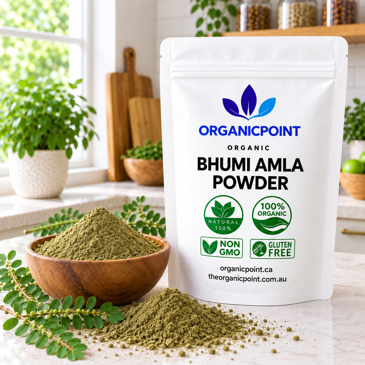 Bhumi Amla Powder Organic