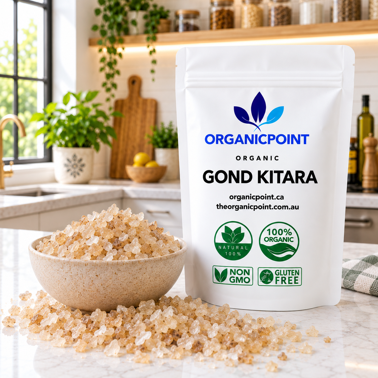 Gond Kitara