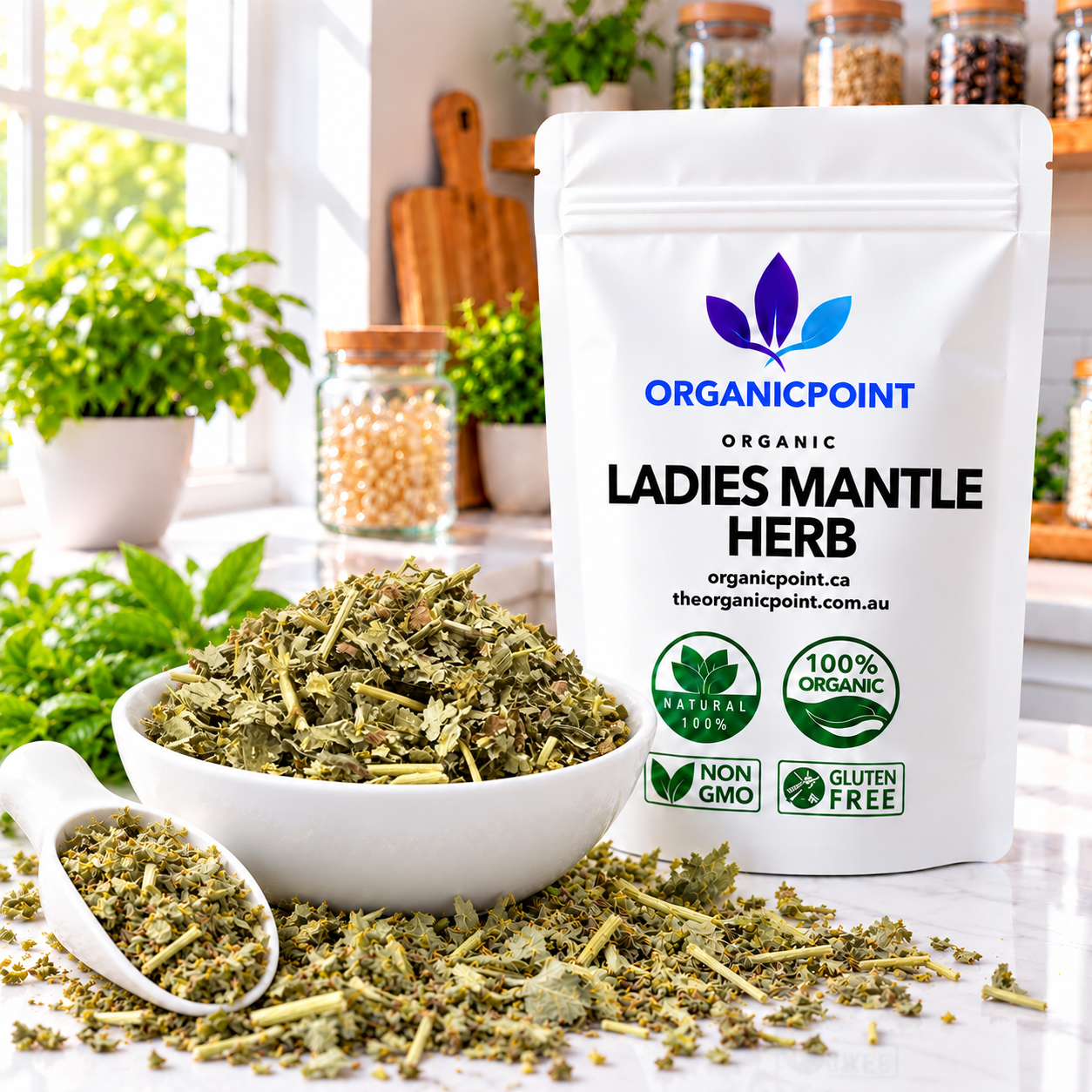 Ladies Mantle Herb Organic